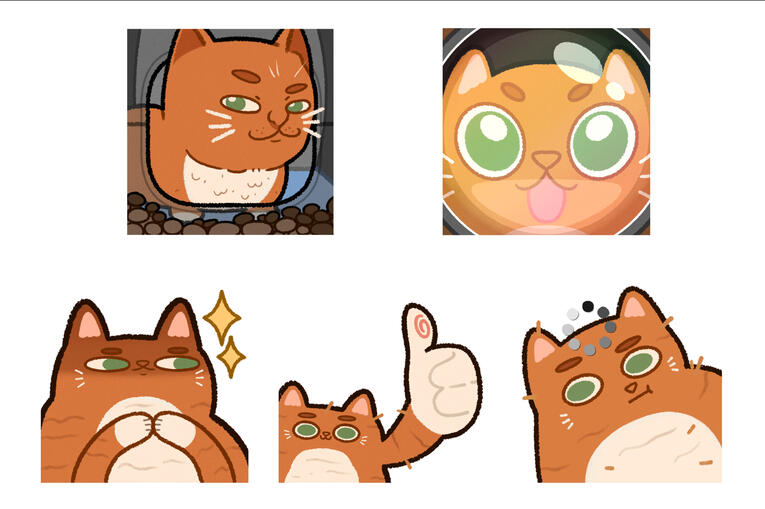 cat memes